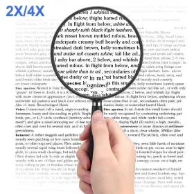 Eeekitonline 601549117626 Large Handheld Magnifying Glass Page Magnifier For Reading Newspapers Home