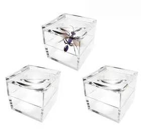 Magnipros 700987222494 Pack Of 3 Magnifier Box Bug Viewer Magnifies Up To 5x 500% With
