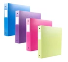 Filexec 3-RING Binder 12 Pack Blue Hot Pink Purple Green 50573-64970 New. Price: $62.95.