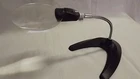 New Berkshire Lighted 2X Flexible Adjustable Desktop Magnifier Lights. Price: $34.95.