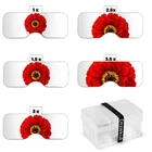 Dilzekui Spare Set Of Magnifying Glass Lenses 1X,1.5X,2X,2.5X,3.5X Red New. Price: $20.08.