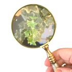 Evenchae Mother Of Pearl & Brass Magnifying Glass, 4X Magnifier, 4"W Lens, 10"L New. Price: $74.23.